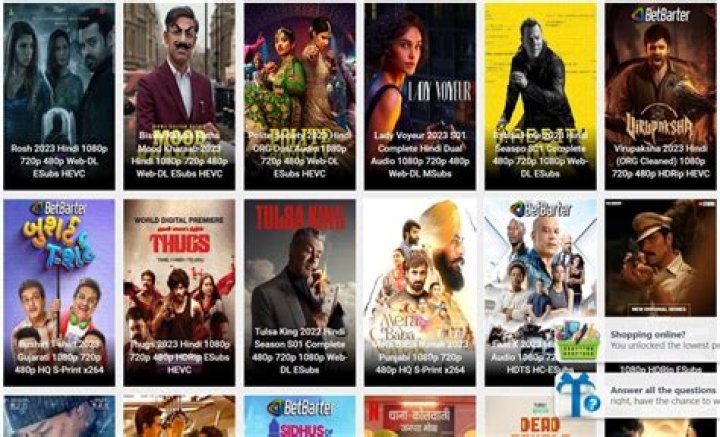 300MB Movies Dual Audio: The Ultimate Guide to Enjoying Movies in Multiple Languages