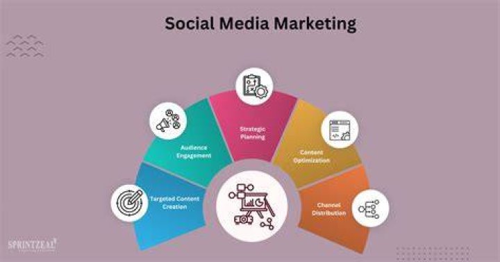 Amber Najm: The Rising Star of Social Media and Business