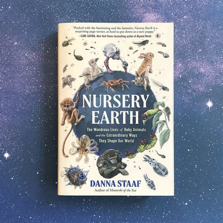 Discovering Morelita Fansly: A Journey into the World of a Rising Star