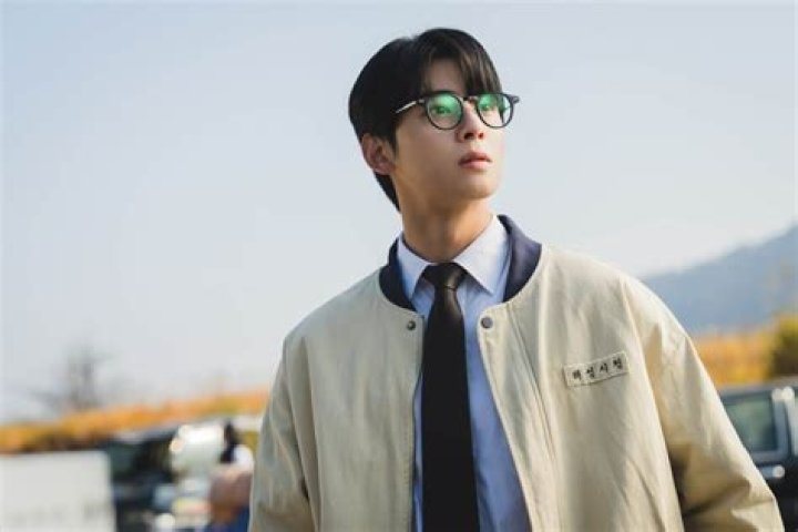 Discovering the Charisma of Cha Eun Woo: The Height of a Star