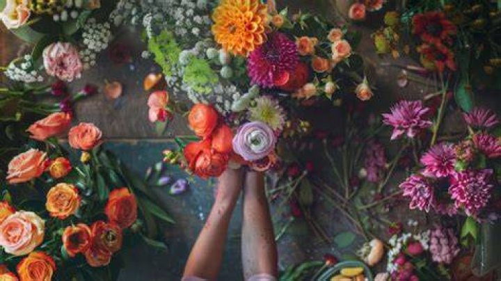 Discovering the Essence of Floret_Joy Simplicity