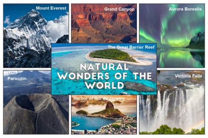 Discovering the Wonders of Maal49.com: Your Ultimate Online Destination