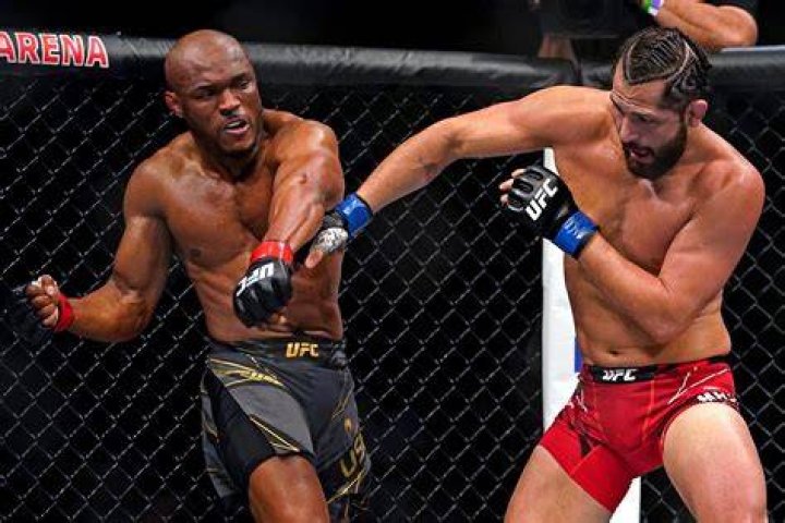 Discovering the World of Mmashare: A Comprehensive Guide