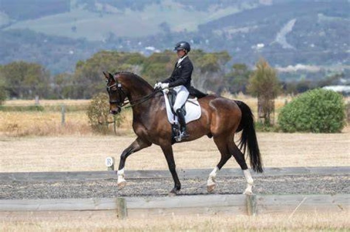 Exploring Jessica Springsteen's Journey: From Equestrian Star to Married Life