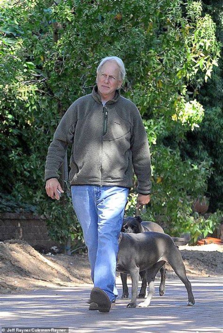 Exploring Mark Harmon’s Health Journey