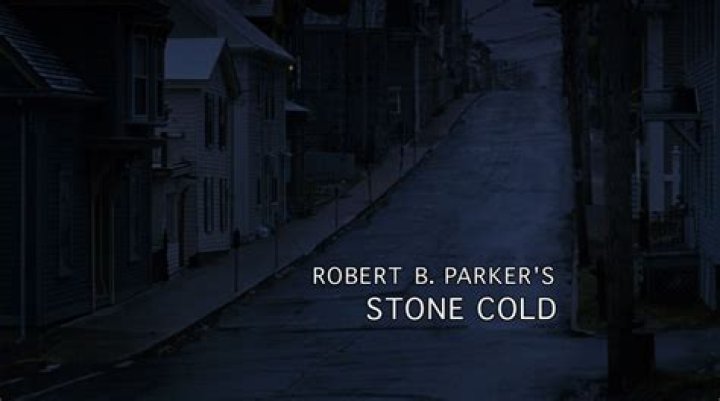 Exploring the Cast of Jesse Stone: Stone Cold