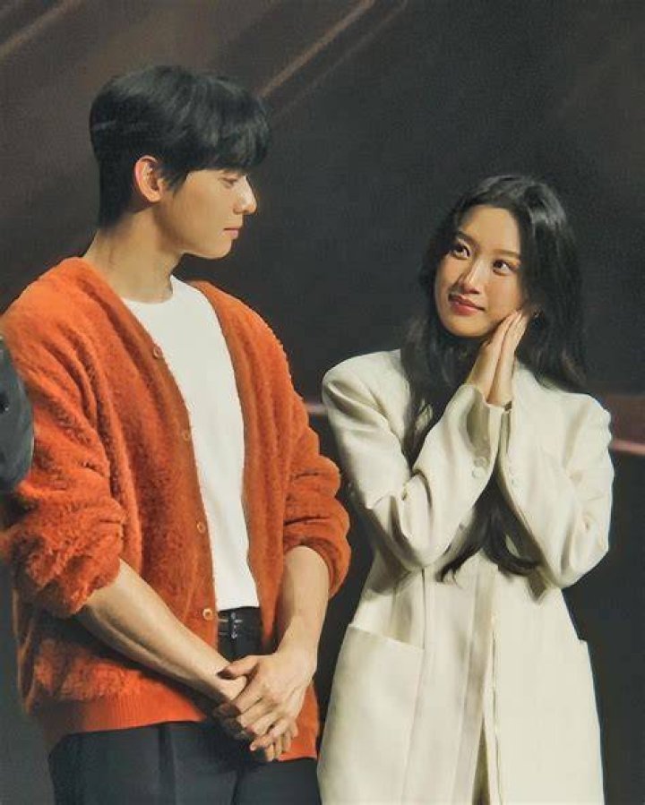 Exploring the Chemistry of Cha Eun Woo and Moon Ga Young: A Perfect Couple?