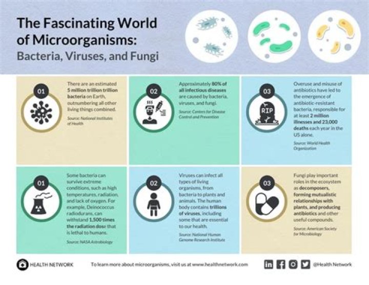 Exploring the Fascinating World of Sondra Blust: The Only Fnas