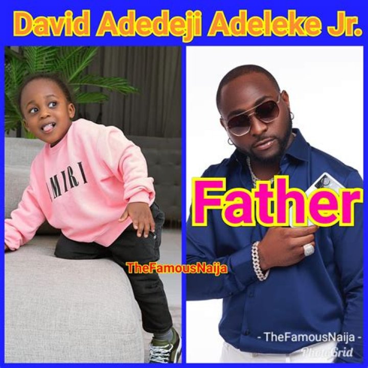 Exploring the Life and Legacy of David Adedeji Adeleke Jr.