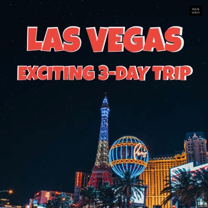 Exploring the Vibrant World of Vegas.tv