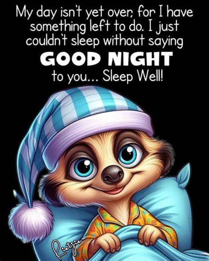 Good Night Funny Quotes: A Collection to Brighten Your Evening