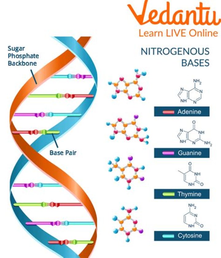 Jellybeanbrainz Leaks: An In-Depth Analysis of Controversial Data Breaches