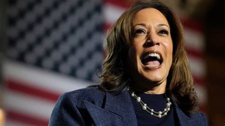 Kamala Harris: A Journey Through Her Profession Before Politics