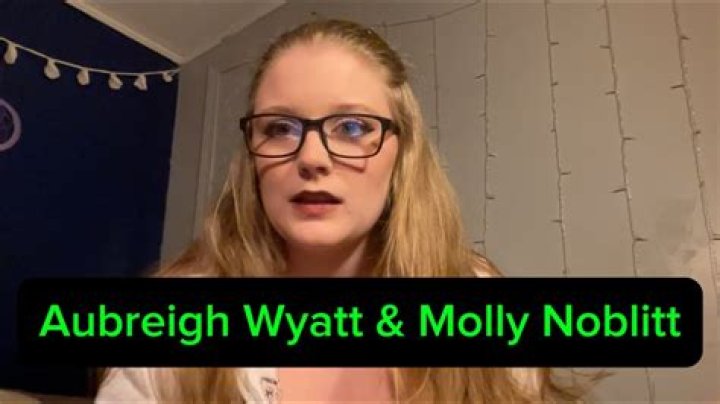 Molly Noblitt's Journey Through the Legal System: What Happened?
