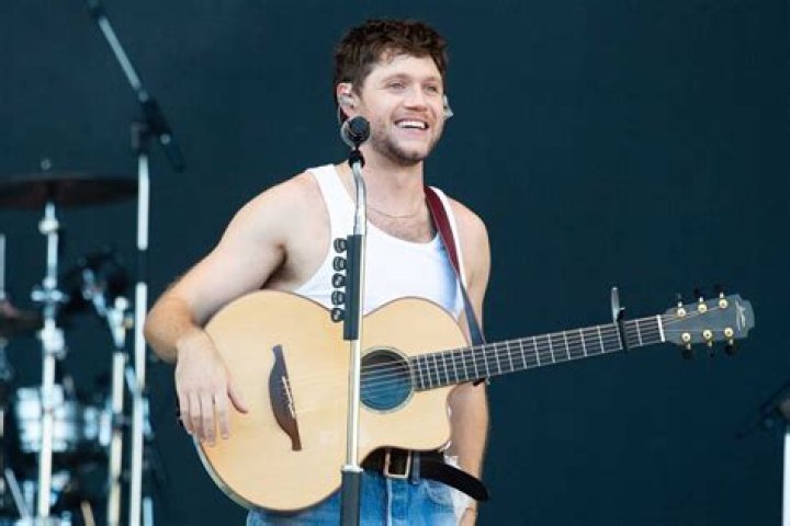 Niall Horan's Wife: Who Is She and What You Need to Know