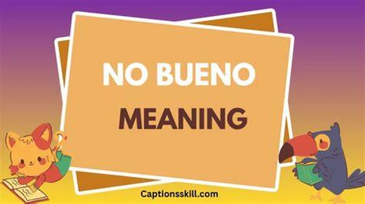 No Bueno: Understanding the Meaning and Usage