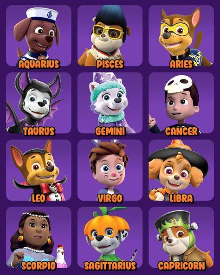 Paw Patrol Adventures: Discovering Character Names and Pictures