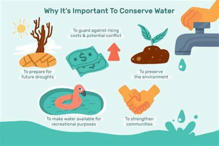 Quiero Agua Seegore: Understanding the Importance of Water in Our Lives