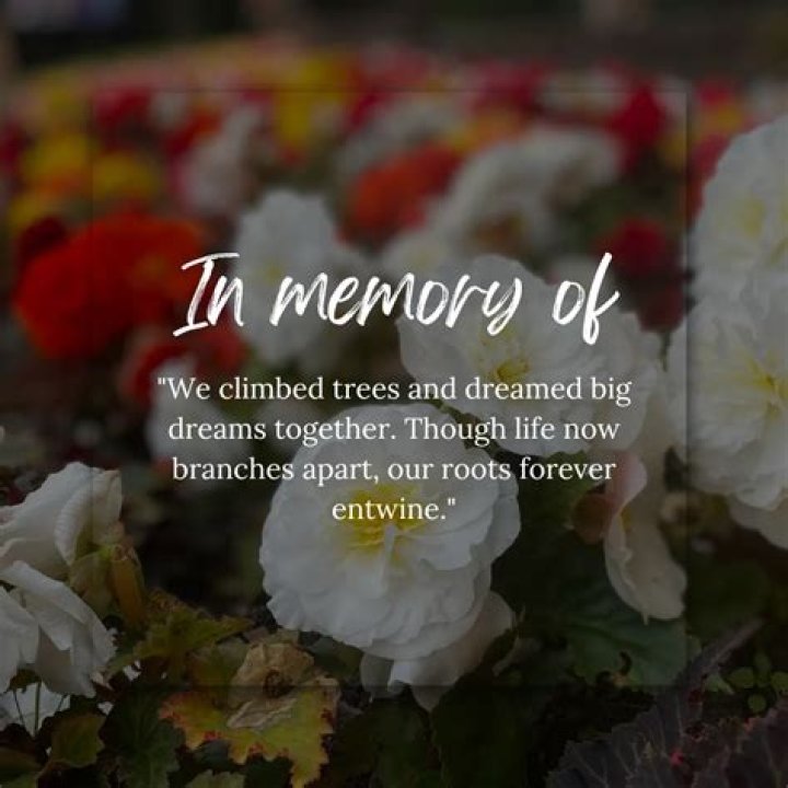 Shawna Loyer Obituary: Remembering a Life Well-Lived