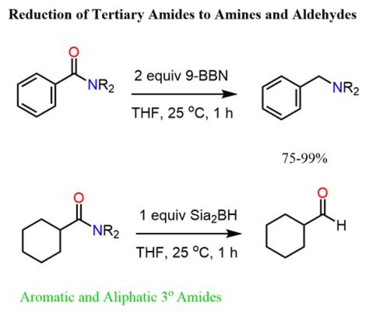 Understanding BBN: A Comprehensive Guide to Its Significance and Applications