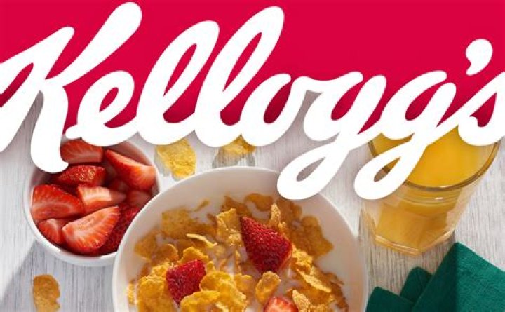 Understanding the Kellogg's Boycott Israel Movement