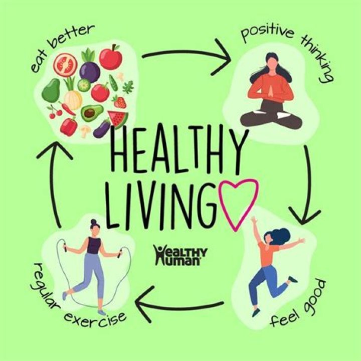 Understanding Warmith: The Key to a Healthier Lifestyle