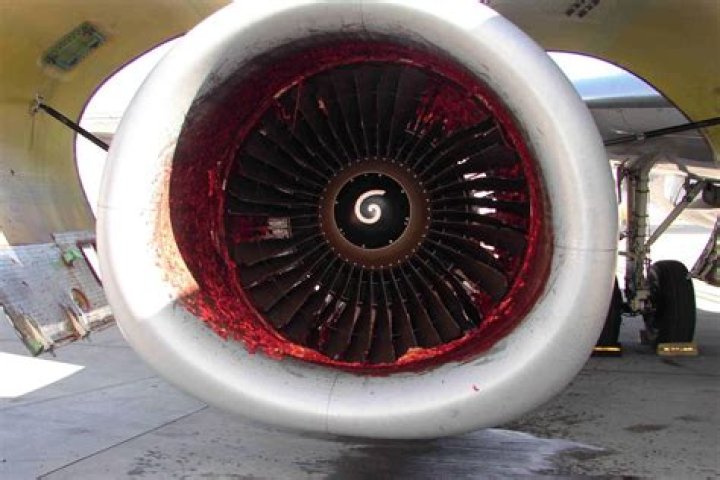 Unraveling the Air Astana Incident Engine 2024: A Comprehensive Investigation