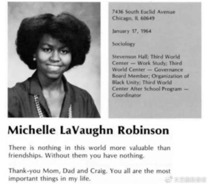 Unraveling the Life and Legacy of Michael Lavaughn Robinson