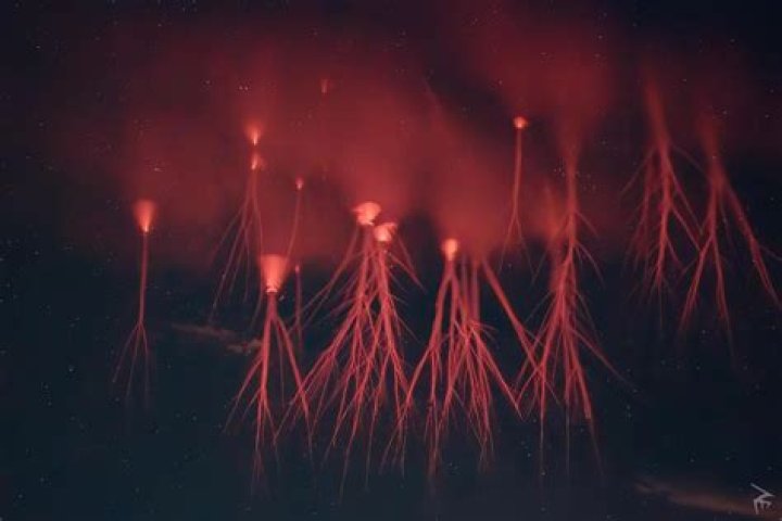 Unraveling the Phenomenon of InfluencesGoneWild