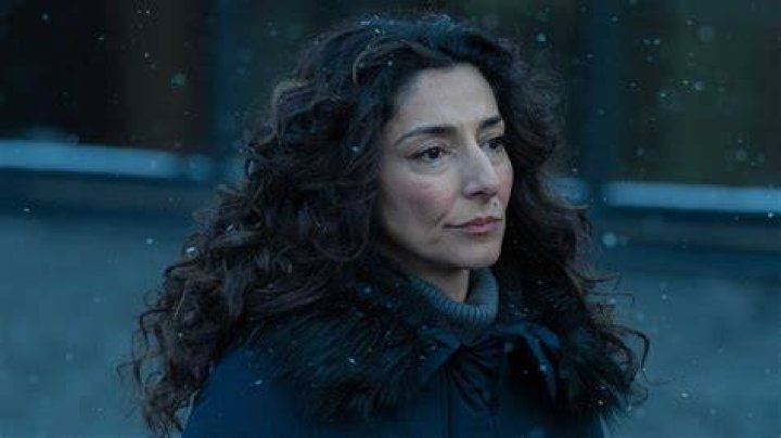 Unveiling the Enigmatic Talent of Necar Zadegan