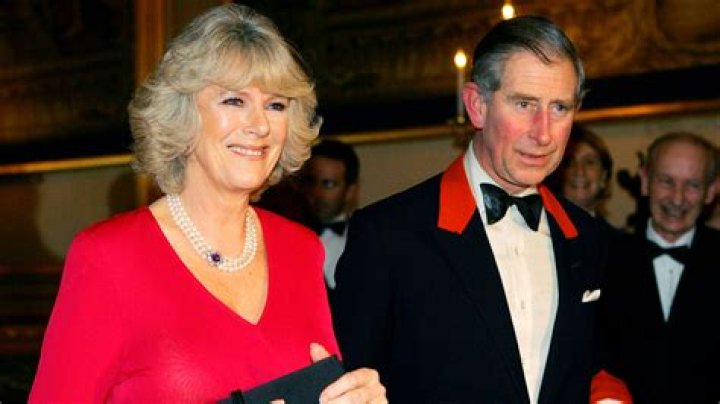 Unveiling the Life and Journey of Camilla S