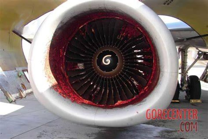 Unveiling the Mystery Behind the Air Astana Incident Engine Footage