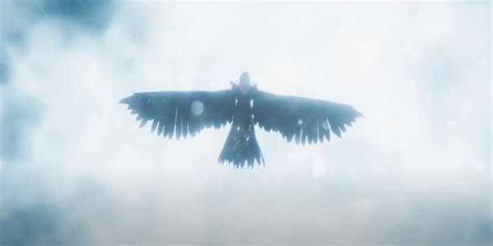 Unveiling the Mystique: The Lyra Crow Leaks Phenomenon